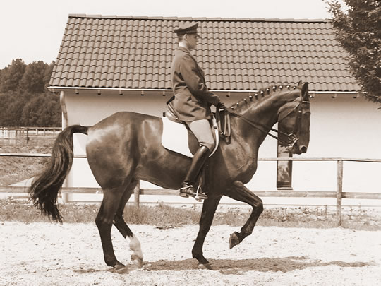 Polizist und Gauner 1988