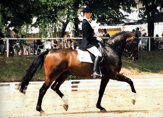 Locando unter Carolin Chiwitt