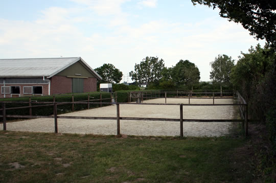Die Paddocks
