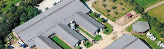 Reitanlage Stockshof