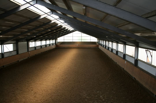 Die Reithalle