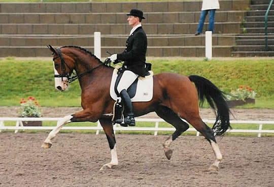 Turnier in Mannheim 2005