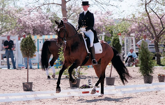 Tabaluga unter Anne R&uuml;hl